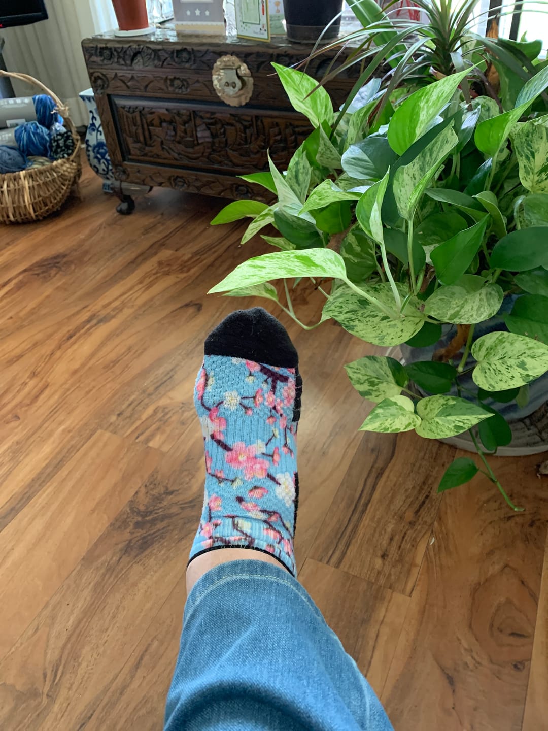 Customer photo review of Bouquet Ankle Compression Socks
