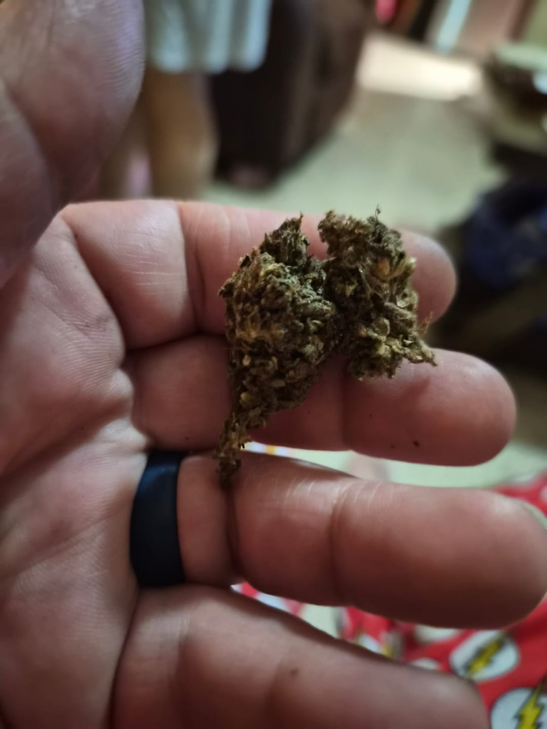 Customer photo review of Strawberry Gelato - Bulk - Hybrid