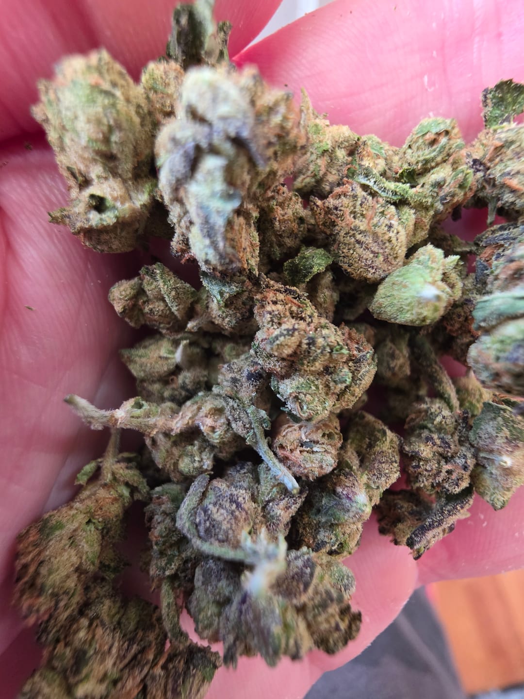 Customer photo review of Barneys Biscotti Minis - 14 Grams - Indica