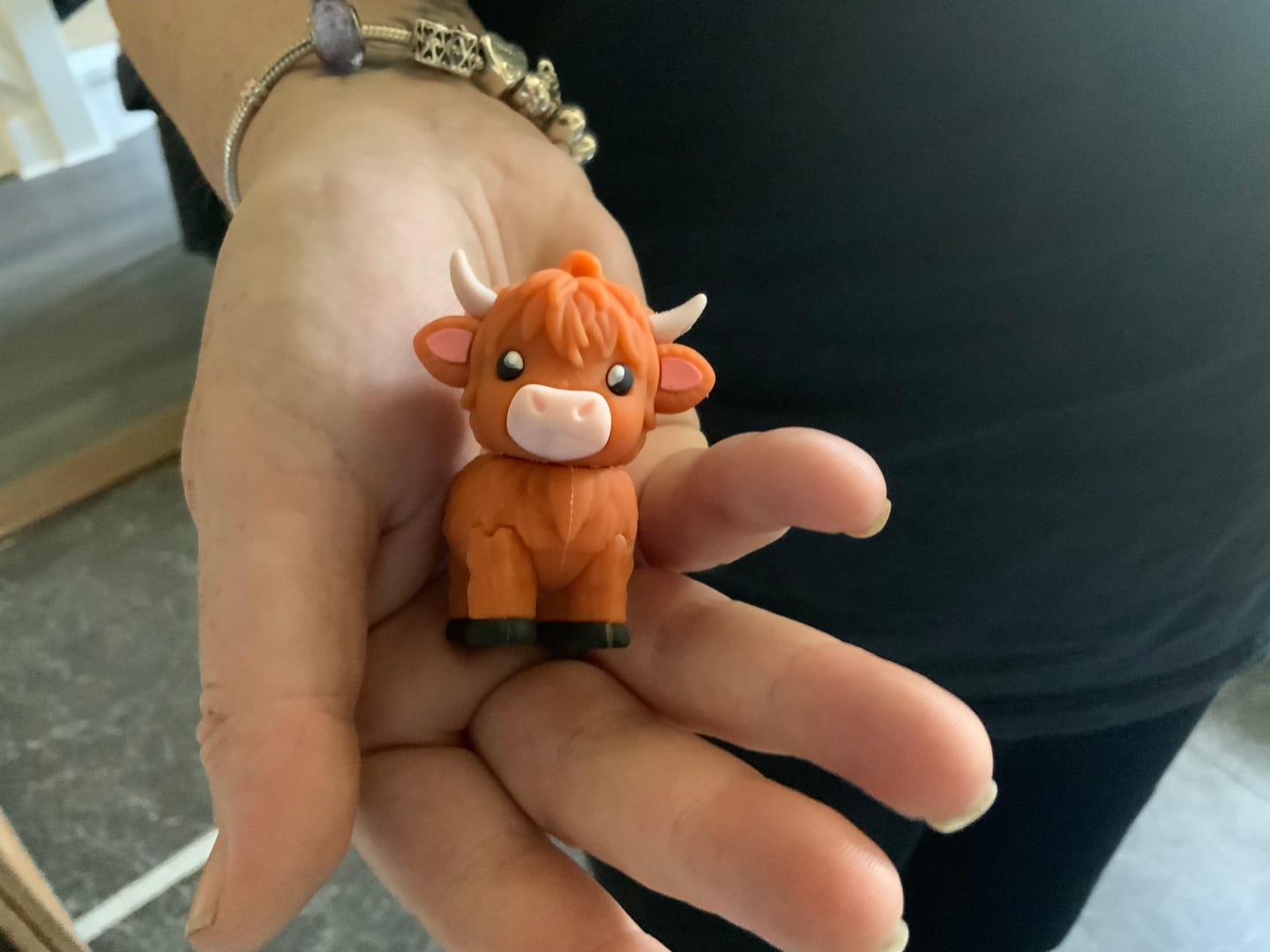 Customer photo review of 🐮A Little Highland Cow For You Keychain: Your Daily Reminder of Quiet Strength