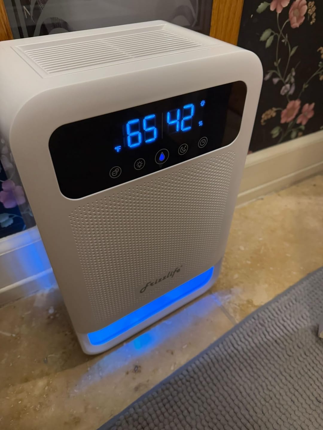 Customer photo review of Frizzlife Dehumidifier with Air Purifier, DH80