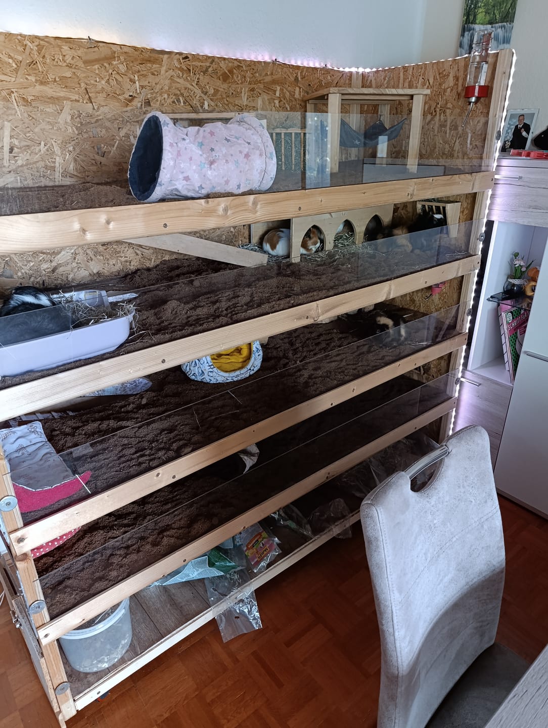 Customer photo review of KOKORO® Pferdeeinstreu
