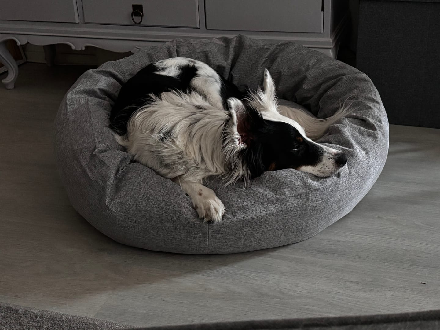 Customer photo review of CalmBedin varapäällinen
