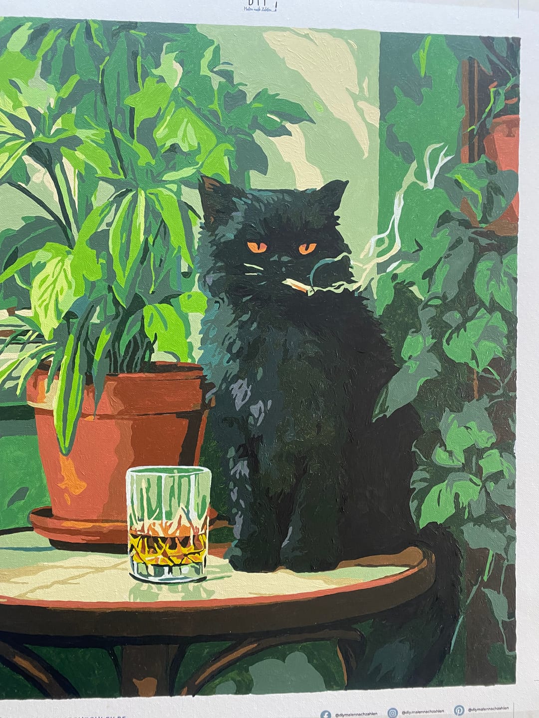 Customer photo review of Malen nach Zahlen - Grumpy Cat