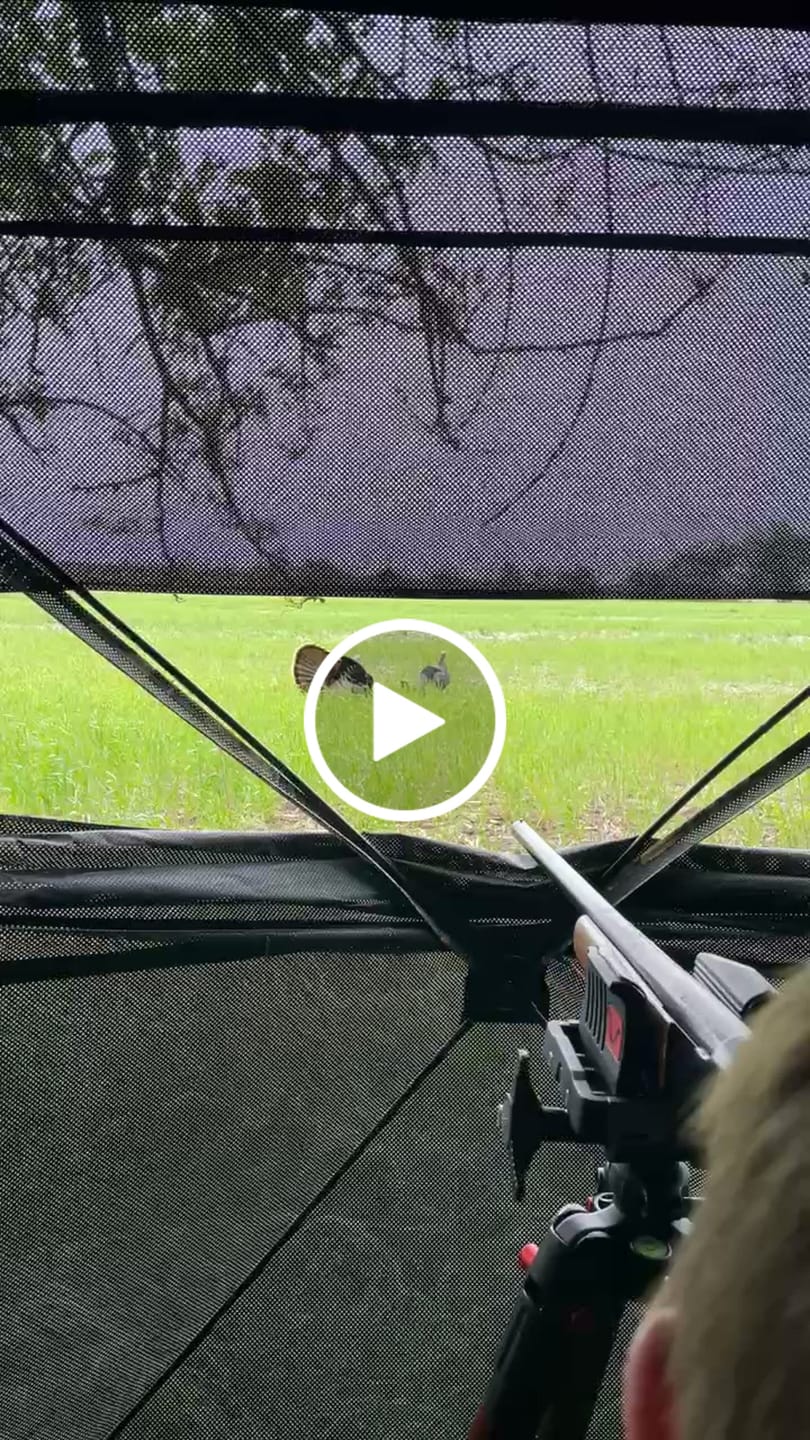 Customer video review of VisX/VisMax 270 Degree See Through Pop Up Hunting Blind