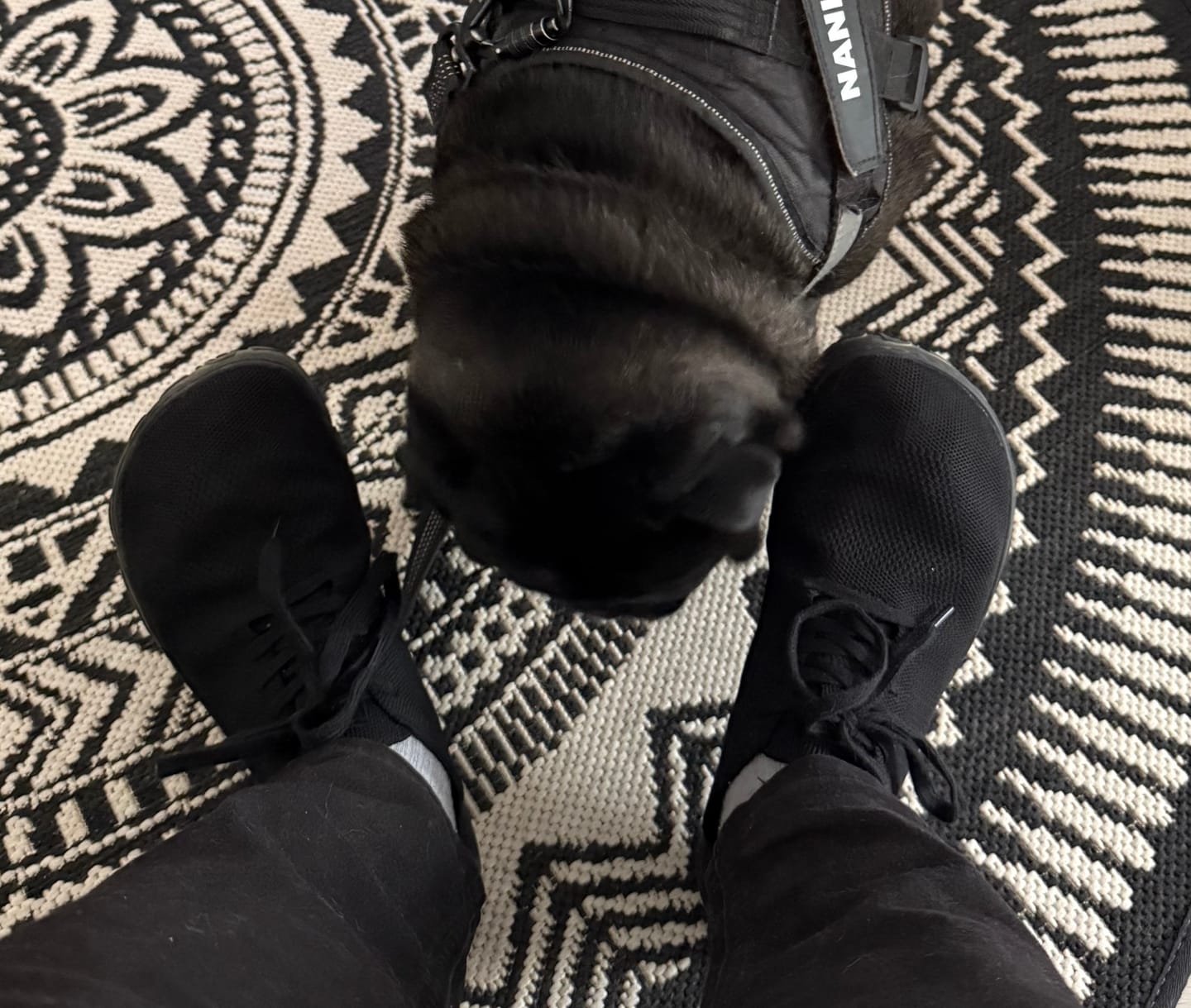 Customer photo review of Vaistoa Iloa -paljasjalkatennarit