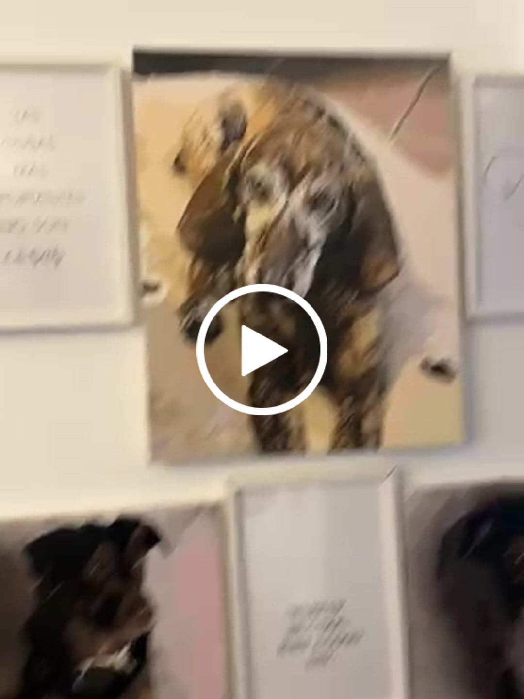 Customer video review of Malen nach Zahlen - Dein Wunschmotiv
