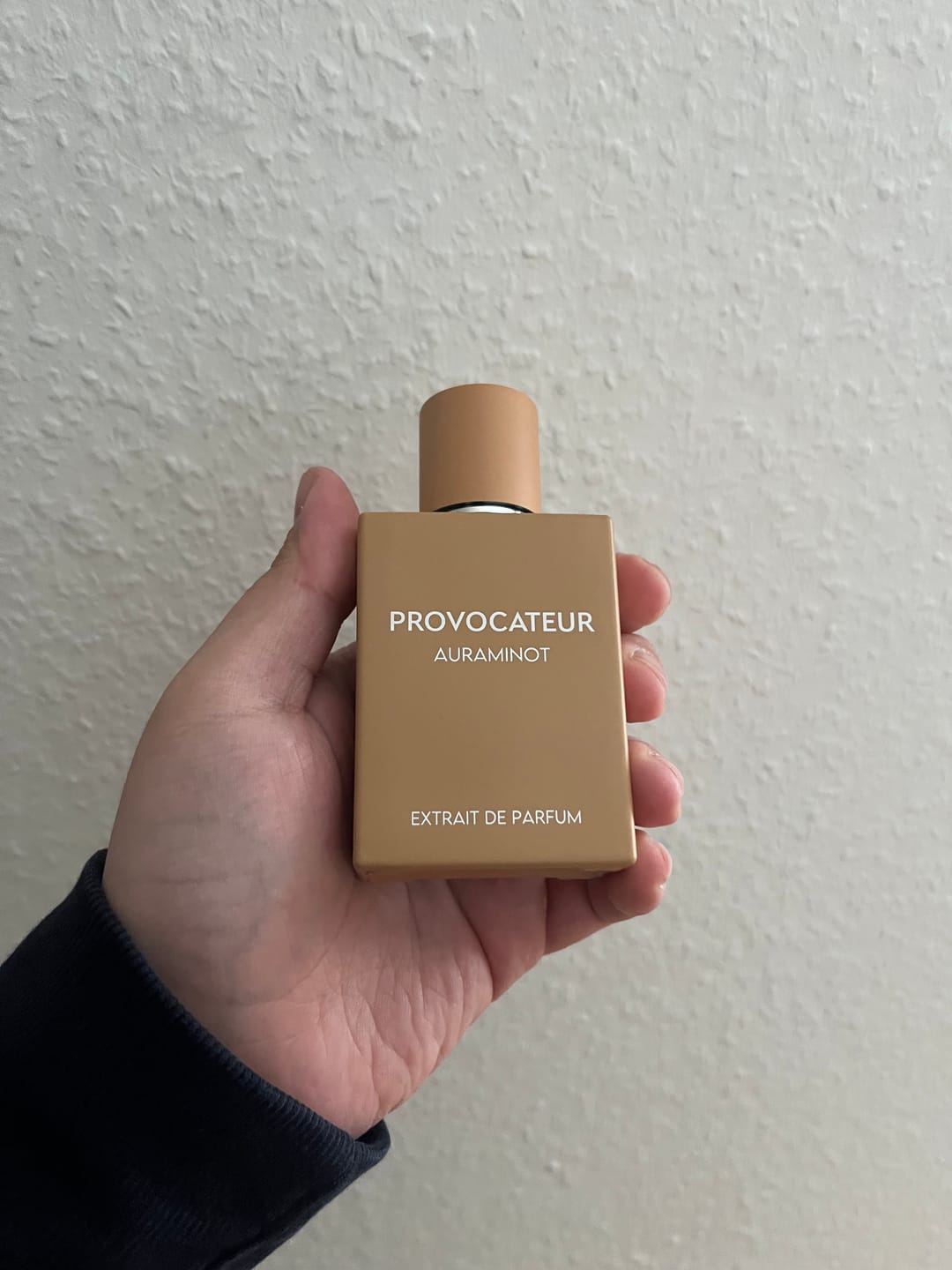 Customer photo review of PROVOCATEUR
