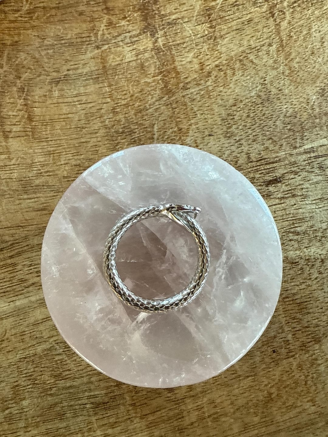 Customer photo review of Ouroboros Ring