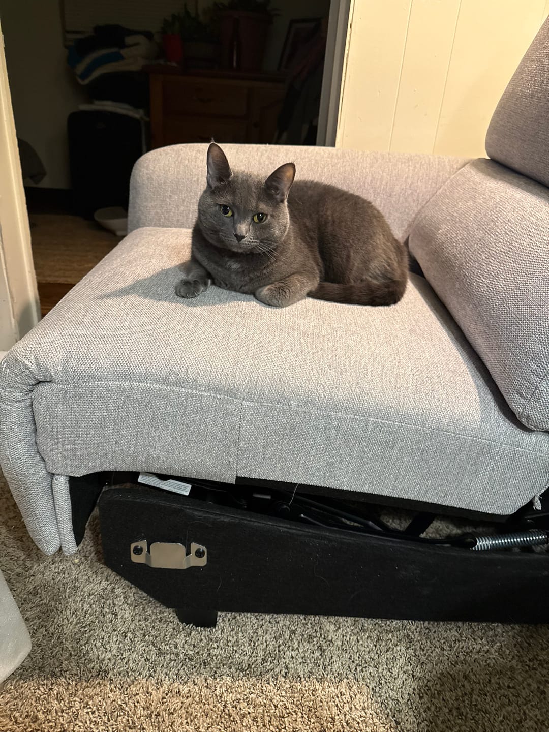 Customer photo review of AeroStretch Power Zero Wall Hugger Reclining Sofa with Drop Down Table Tray