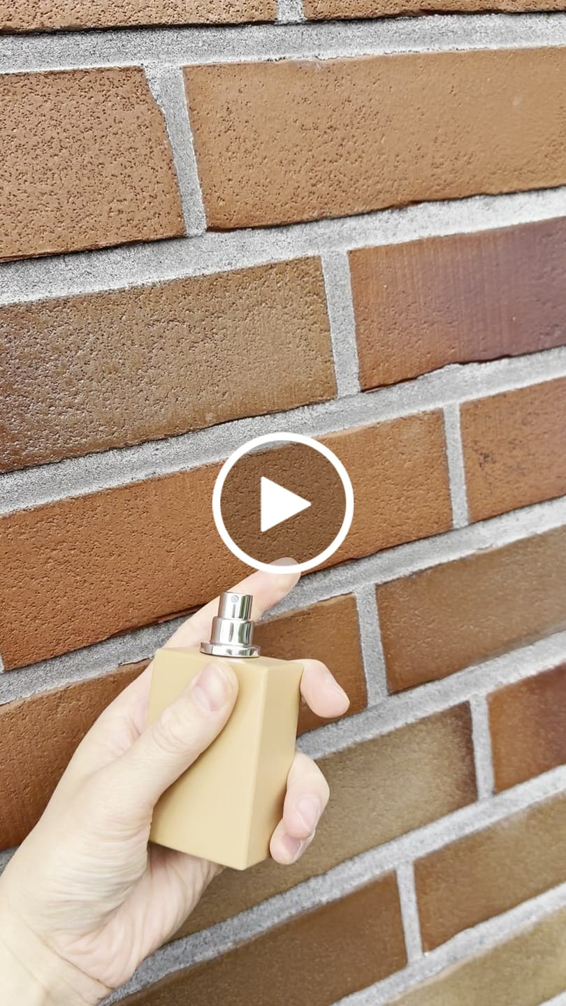 Customer video review of PROVOCATEUR