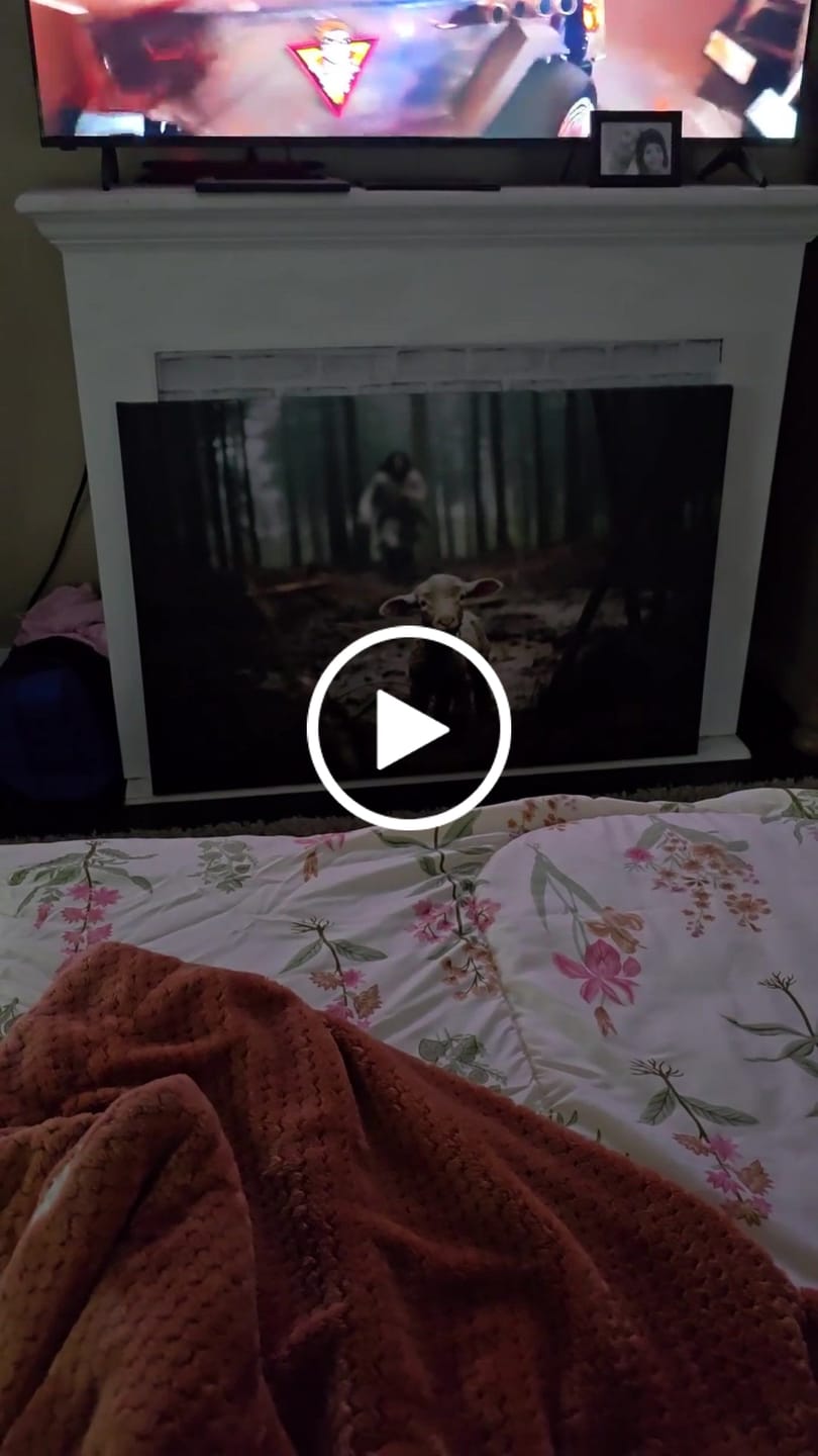 Customer video review of Jesus Running After a Lost Lamb, Jesus and Lamb Picture, Wall Art Canvas