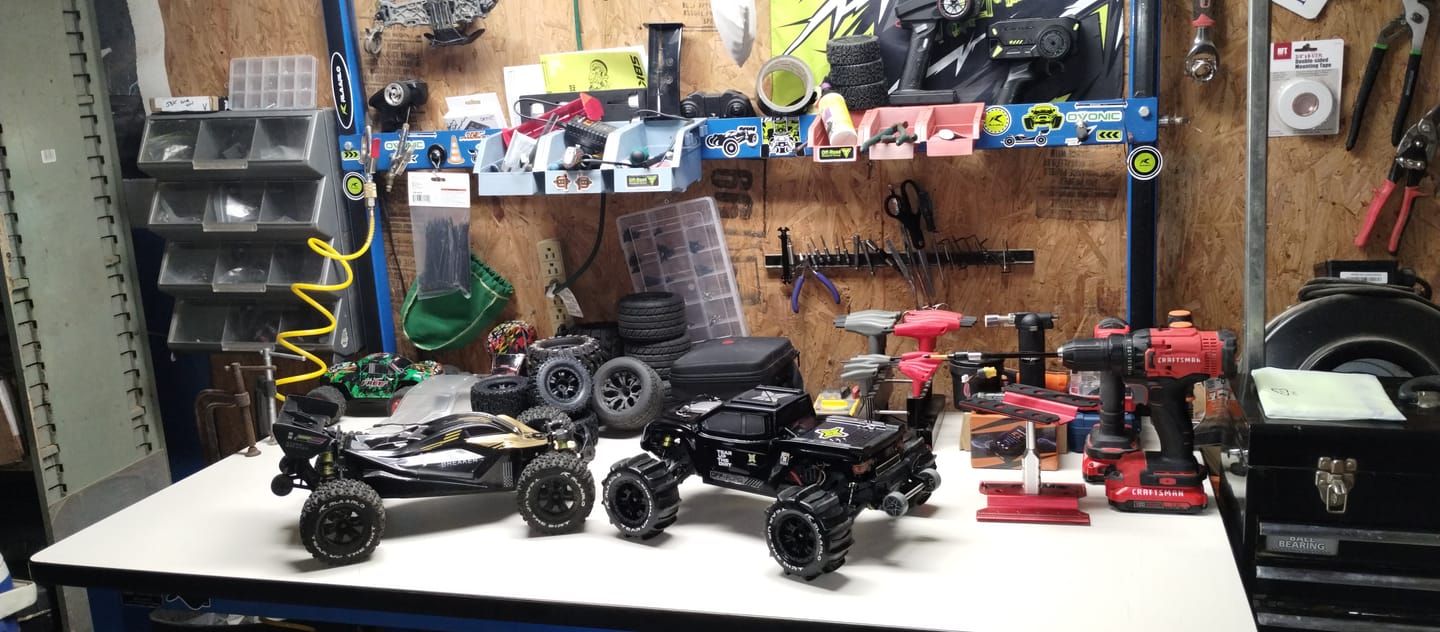 Customer photo review of RC Paddle Tires For RZ001