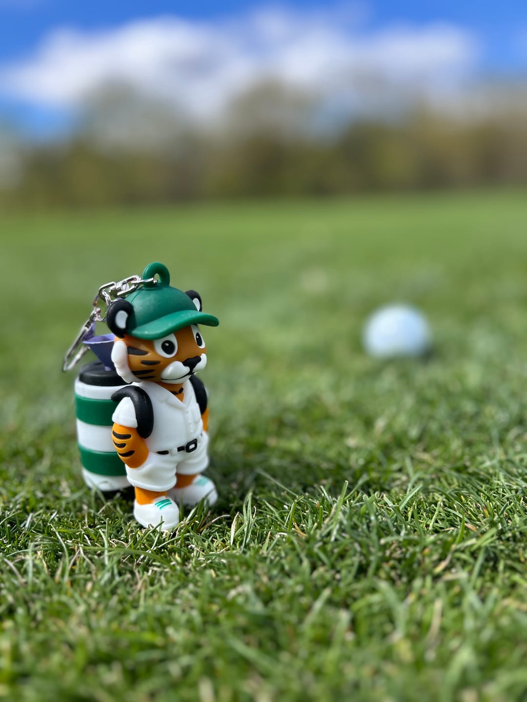 Customer photo review of Tiger Caddy