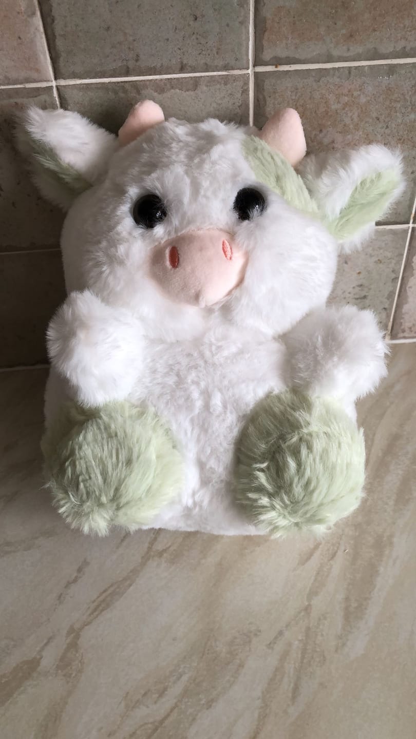 Customer photo review of Mini Cow Plushie