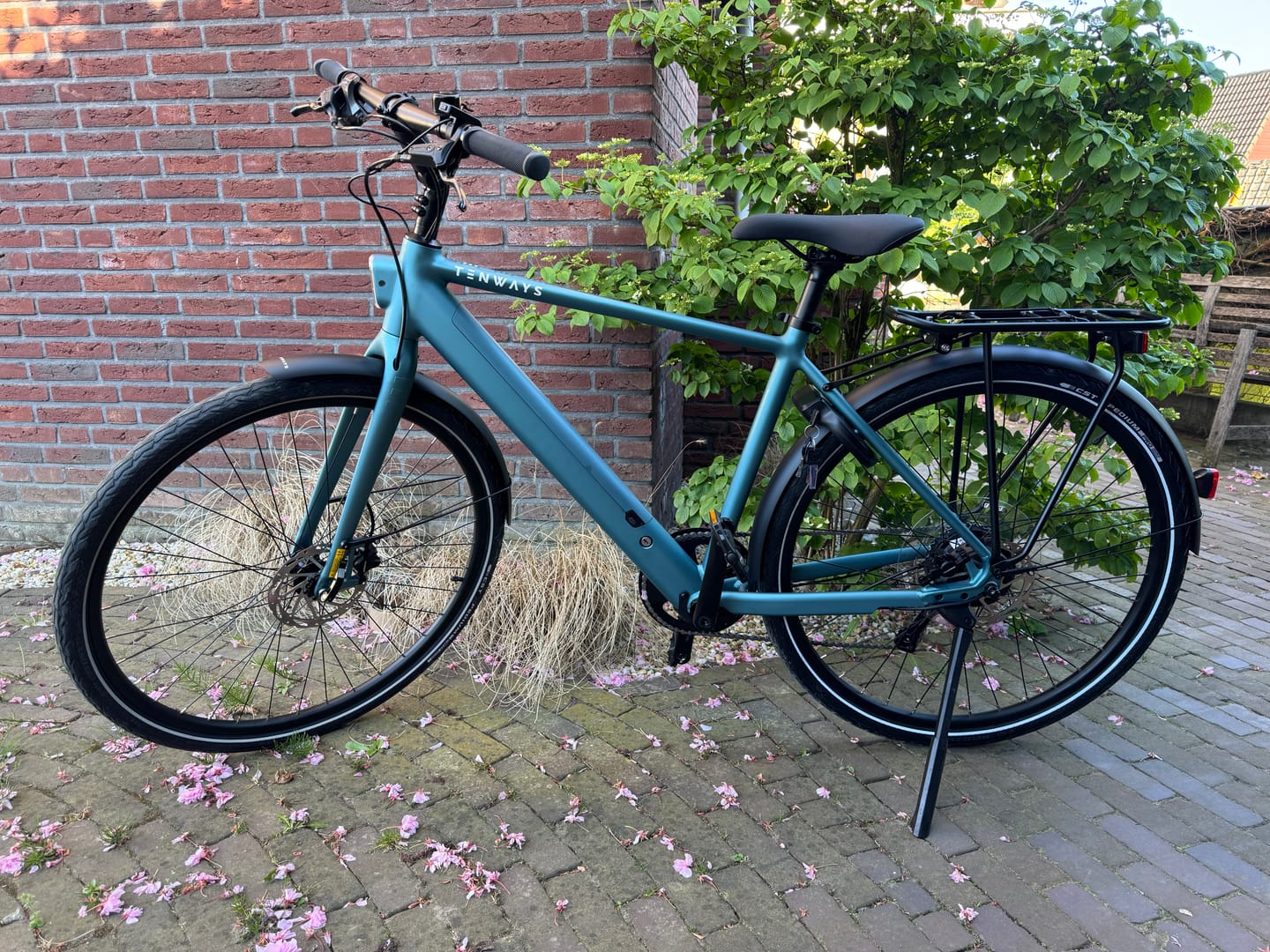 Customer photo review of TENWAYS CGO600 Pro | Plus