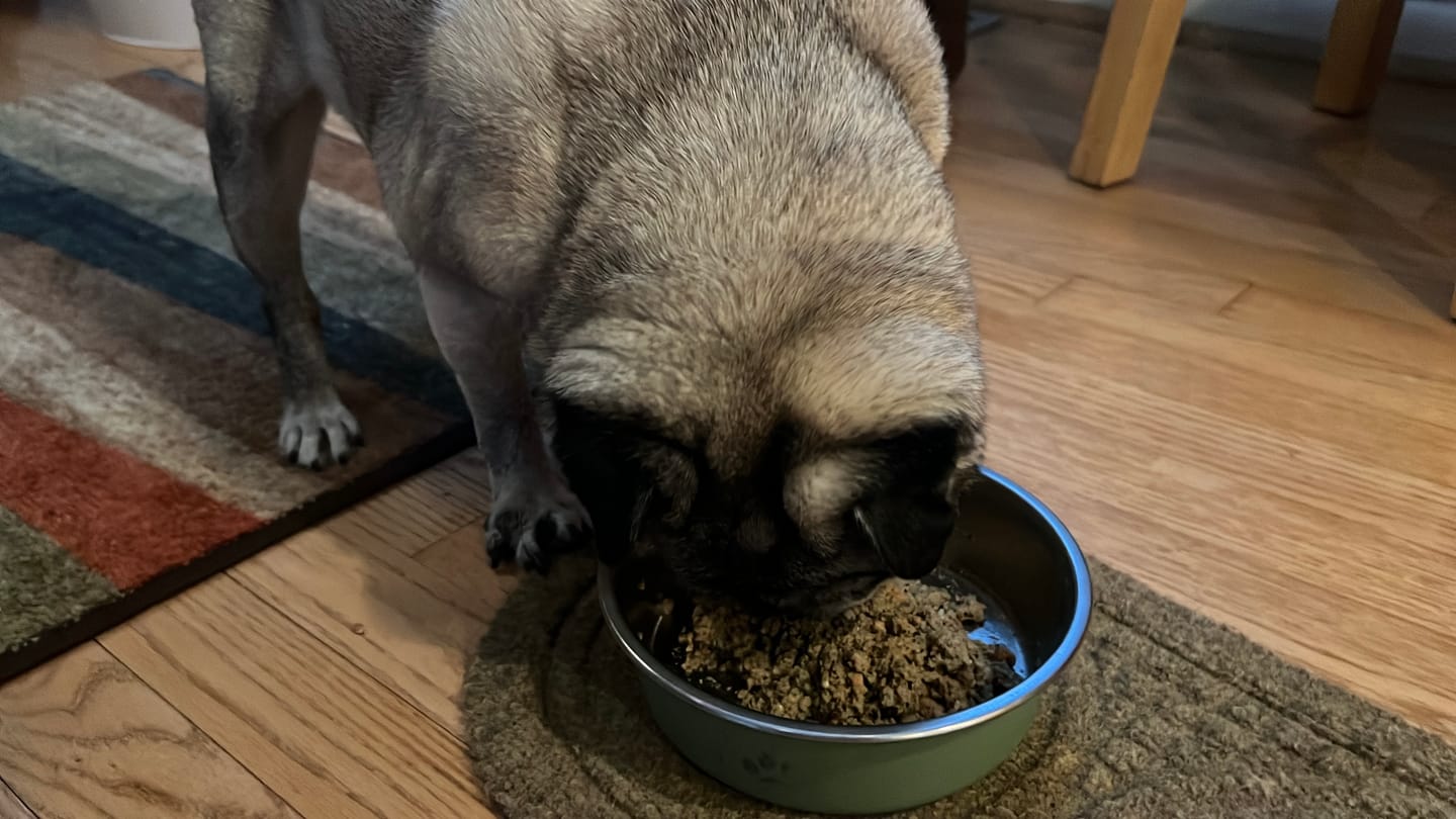 Customer photo review of Chicken Recipe