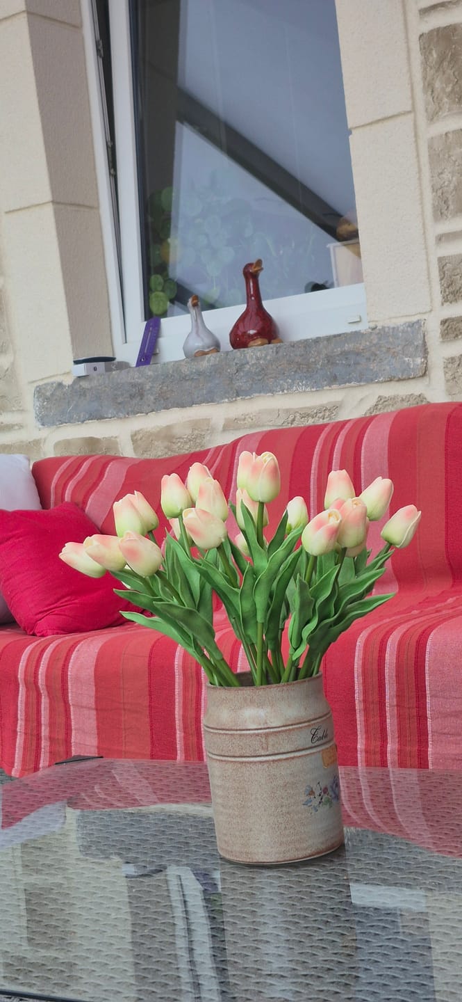 Customer photo review of Tulipes - Vieux rose