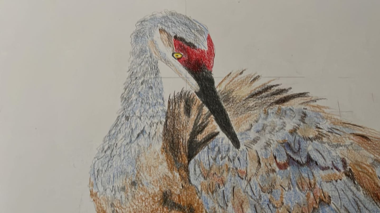 Customer photo review of Faber Castell Polychromos - Set 12 Lápices