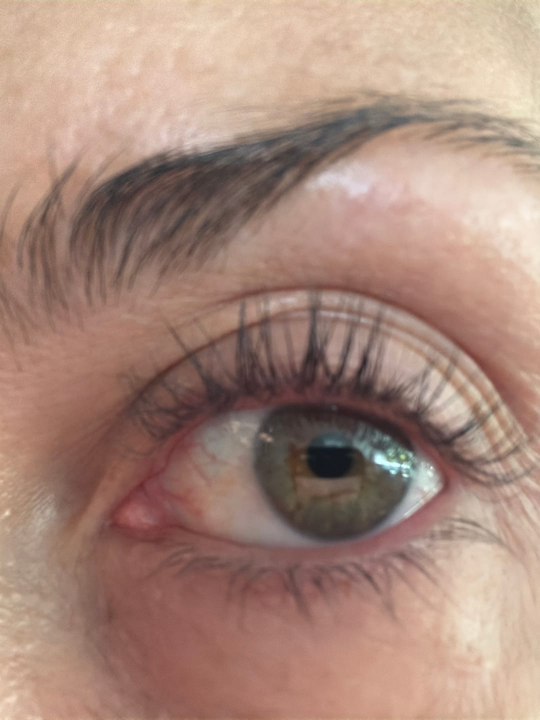 Customer photo review of EYELASH GROWTH SOLUTION