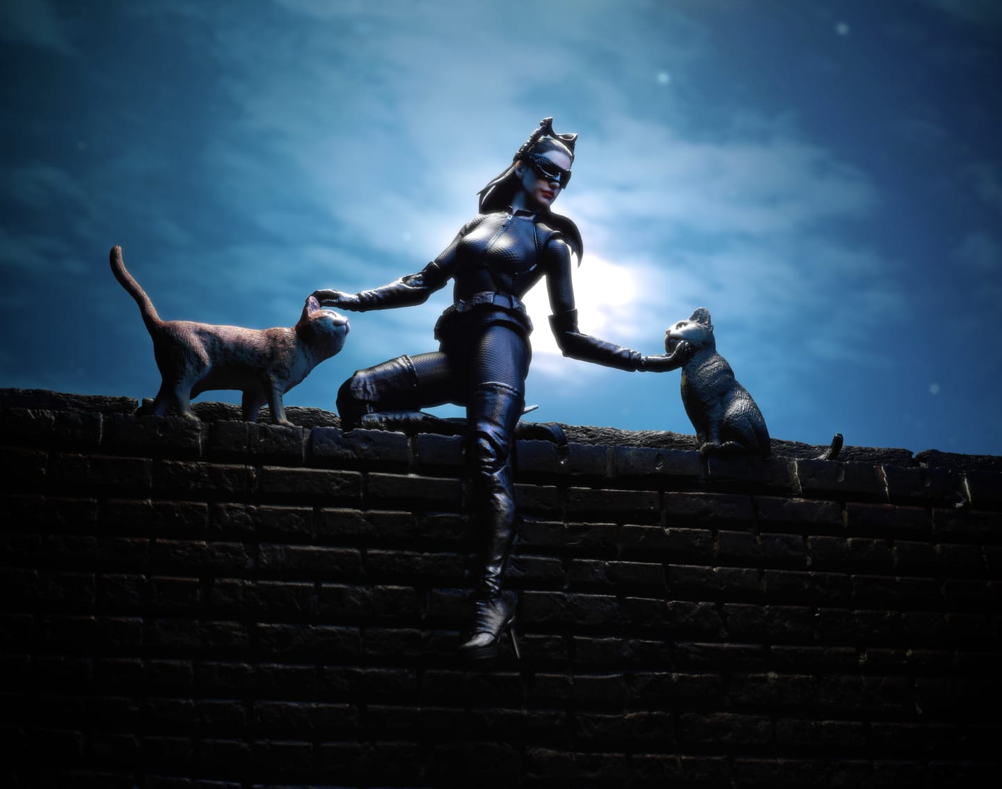 Customer photo review of The Dark Knight Rises - Catwoman 1/12 Scale Figure
