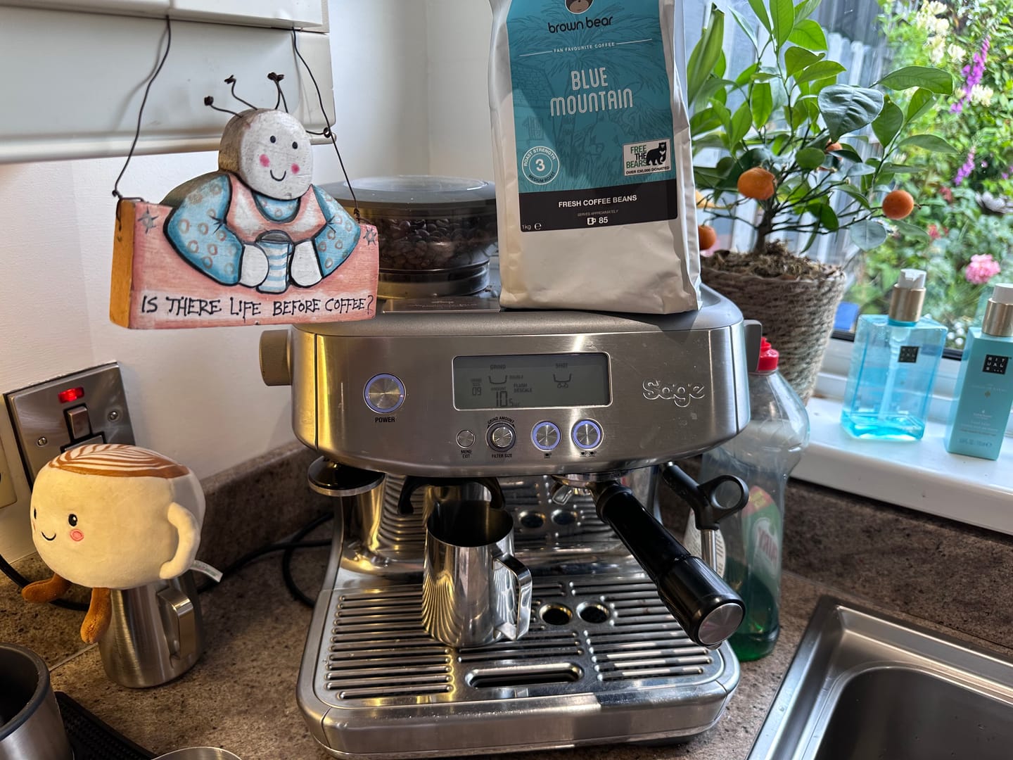 Customer photo review of Medium Roast Coffee - Blue Mountain - Strength 3