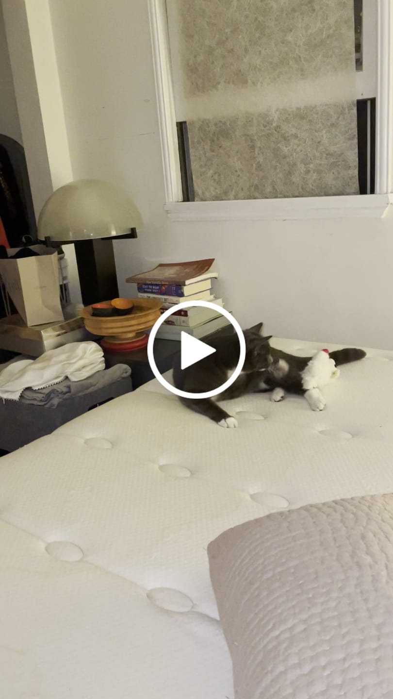 Customer video review of Cat Sushi Bonito Flakes