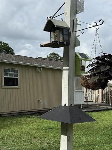 Customer photo review of Birdfy Feeder Metal 2 4K - Smart Metal Feeder with Camera
