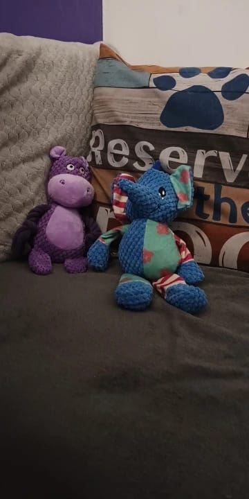Customer photo review of Paw-Friends™-Plushies – Designed for Furry Friends Who Destroy Everything