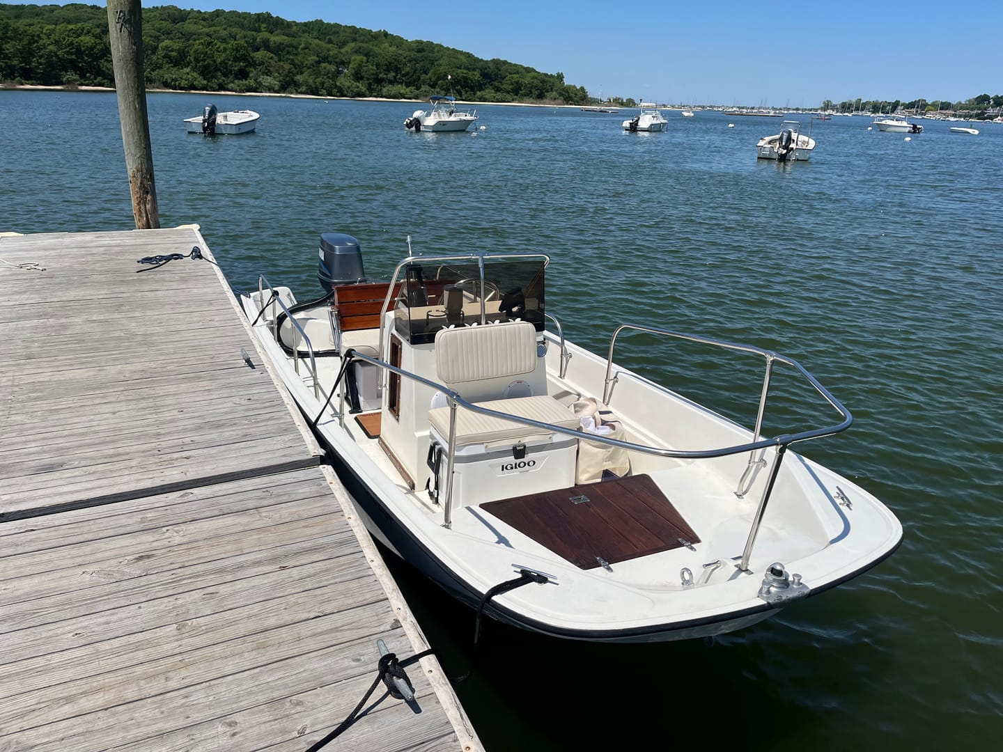 Customer photo review of Marine Cooler Cushion - 72Qt - Igloo & Others