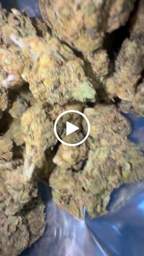 Customer video review of Runtz Of Eden THCA Flower