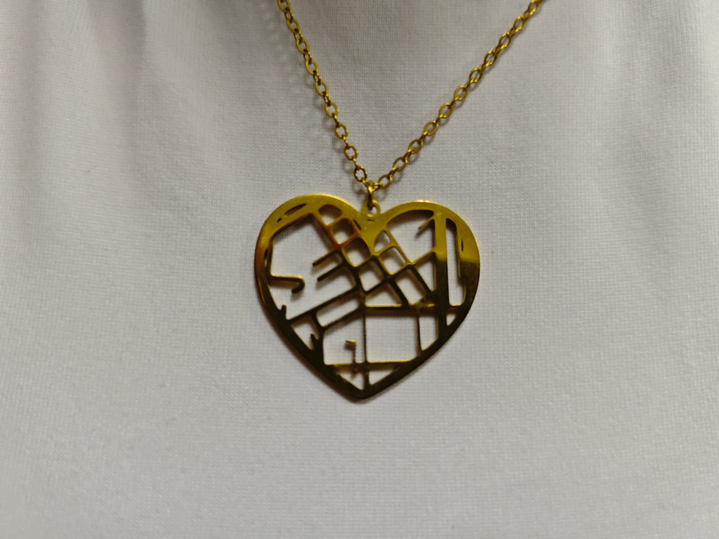 Customer photo review of Collar personalizado con mapa
