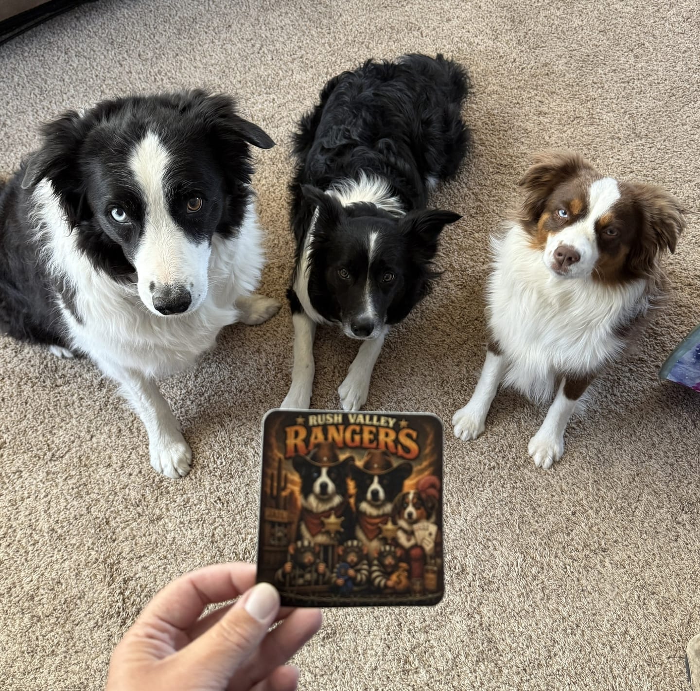 Customer photo review of Secret Sticker Sale