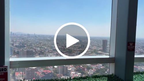 Customer video review of Brunch