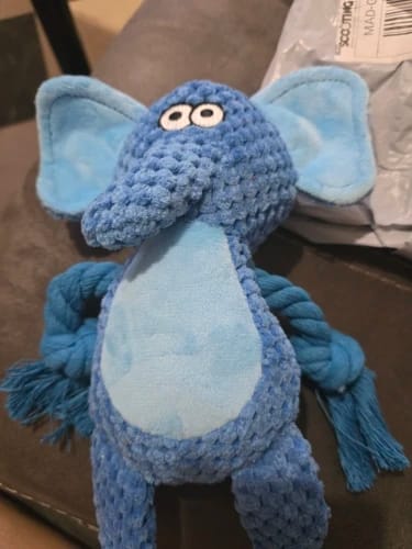 Customer photo review of Paw-Friends™-Plushies – Designed for Furry Friends Who Destroy Everything