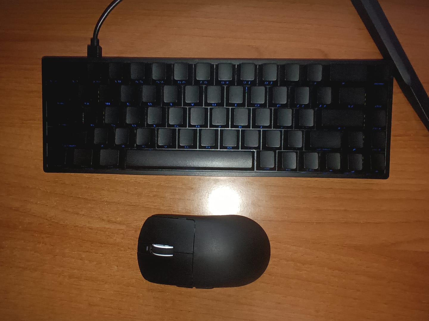 Customer photo review of VXE Dragonfly R1 Wireless Mouse