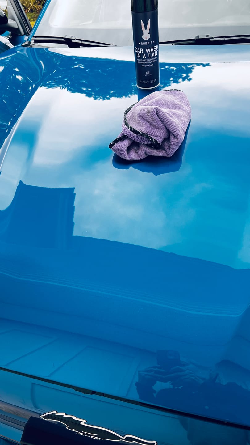 Customer photo review of Car Wash in a Can - 6 Pack