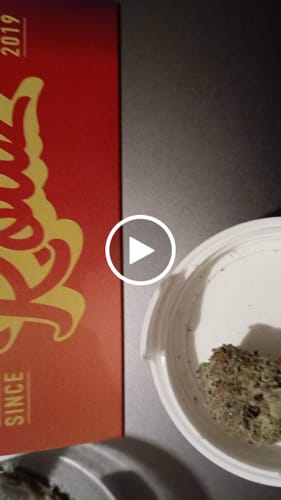Customer video review of Do-Si-Dos x Gelato 30% THCA