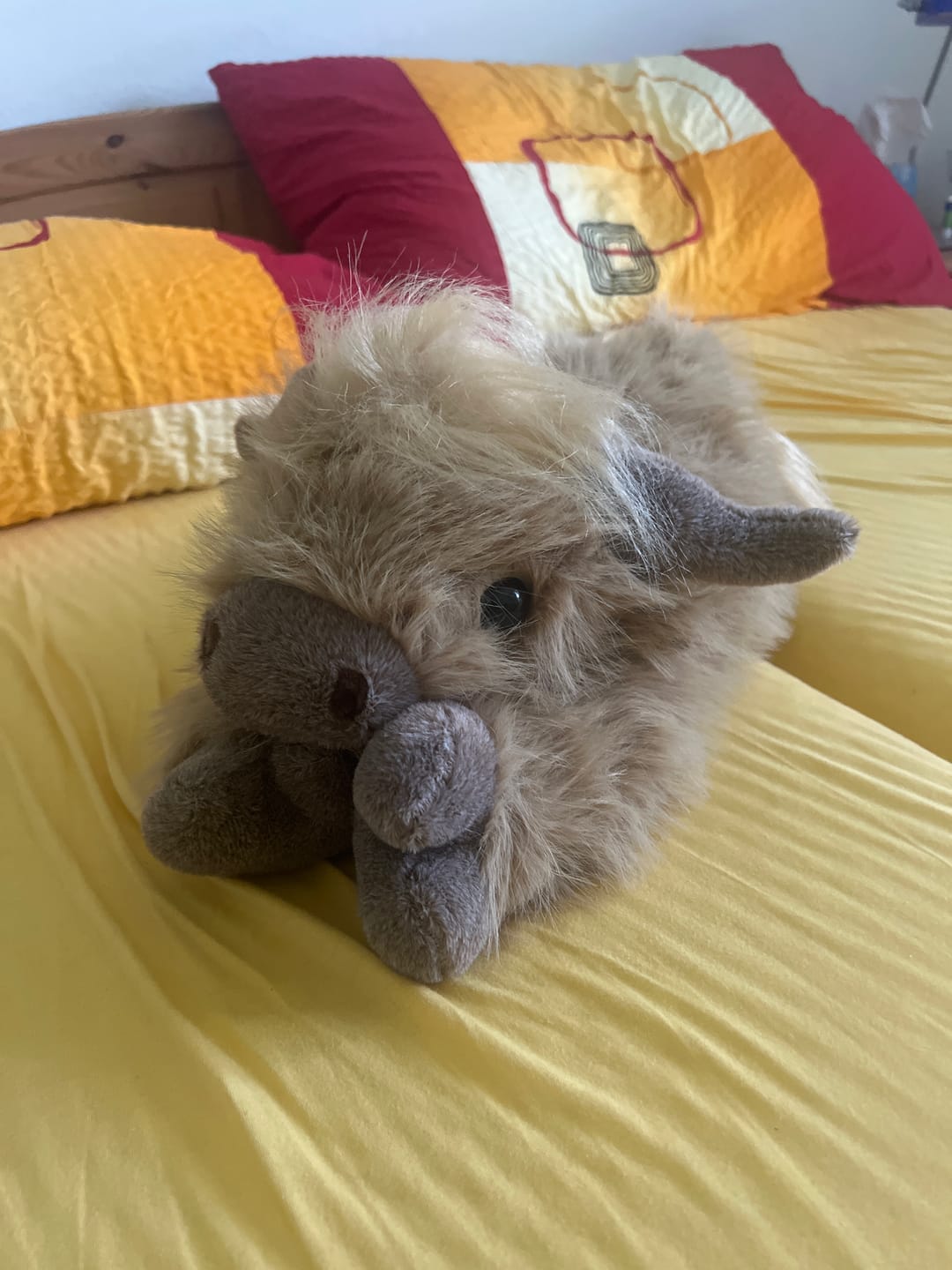 Customer photo review of Highland Cow Weighted Heated Plush