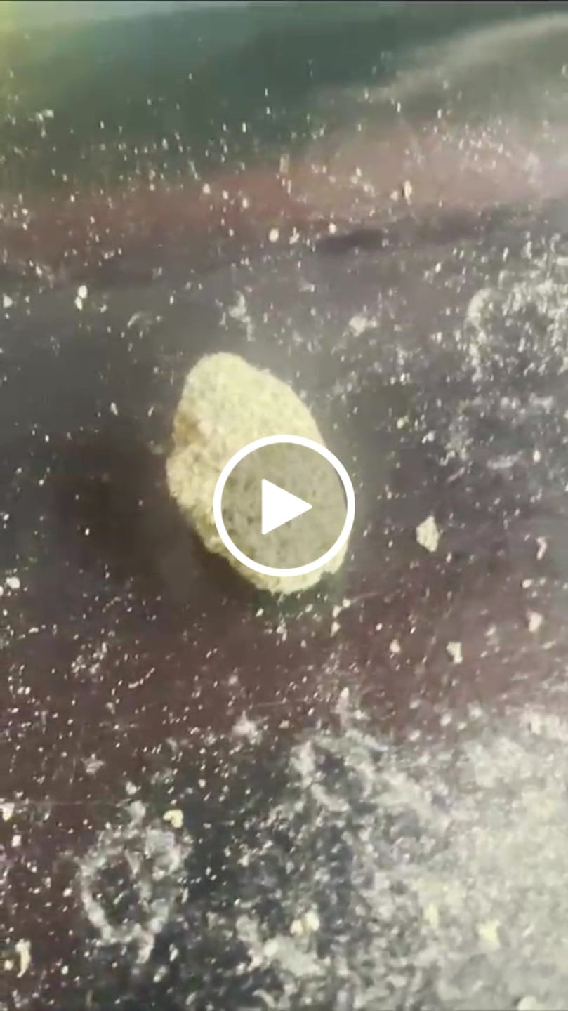 Customer video review of THCa Super Exotic Smalls
