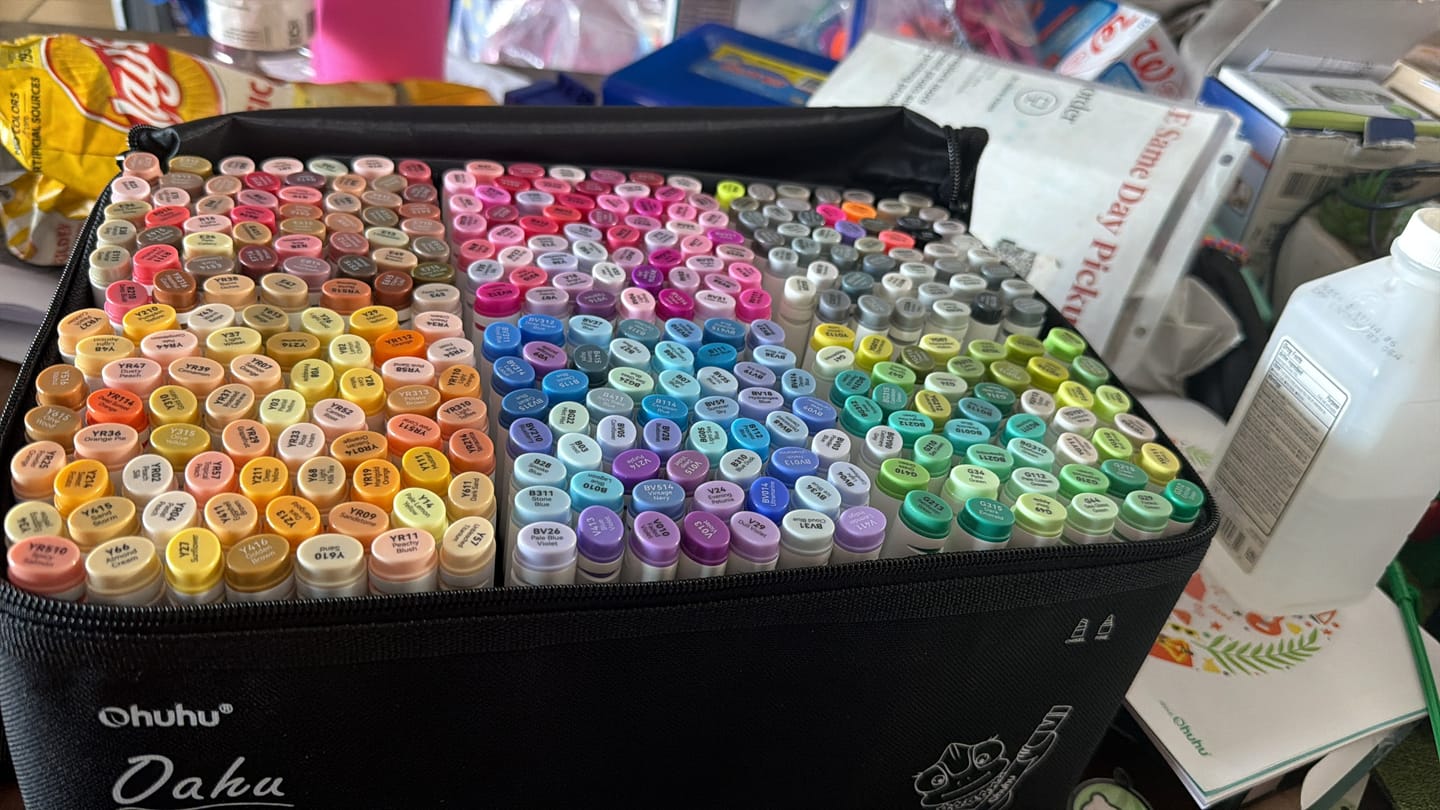 Customer photo review of Ohuhu Oahu 320 Colors Dual Tips Alcohol Art Markers, Fine & Chisel (New Color Codes)