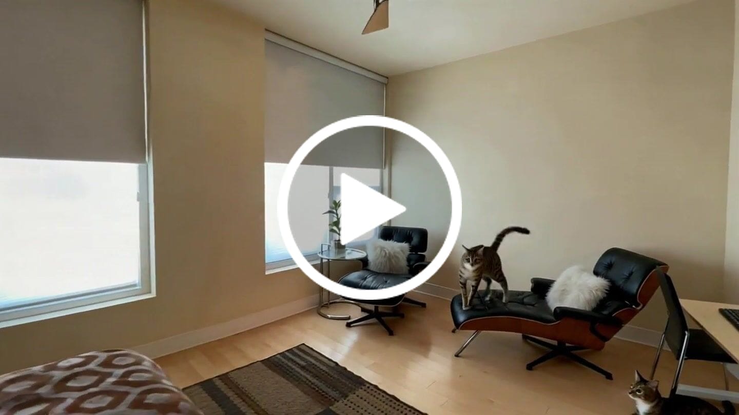 Customer video review of Smart Motorized Roller Shades 100% Blackout Essential