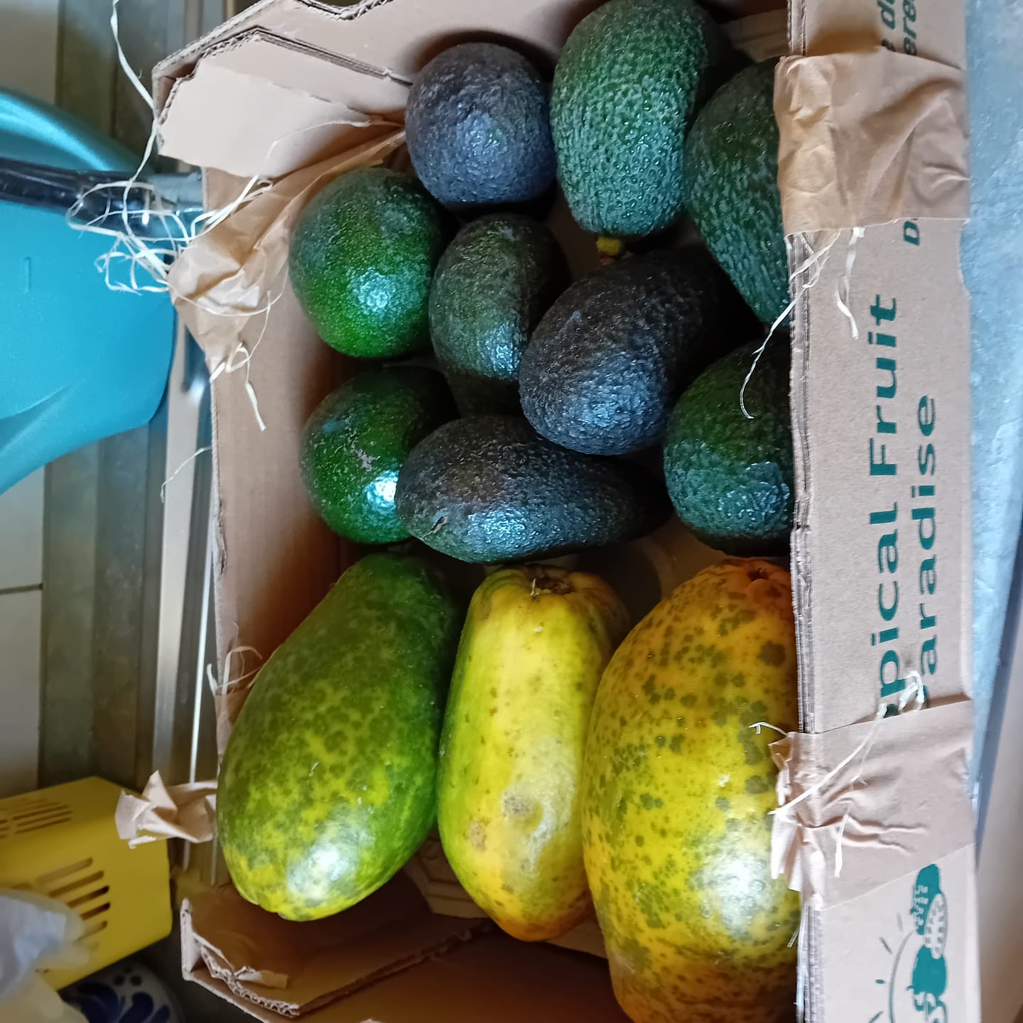 Customer photo review of Papaya Bio von Julian Wochenaktion %