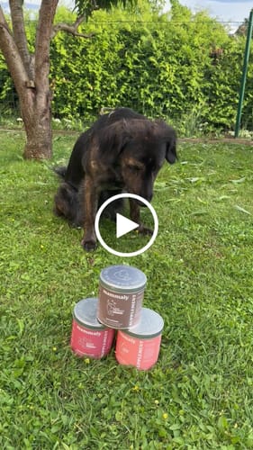 Kundenbewertung mit Video zu Easy Squeezy