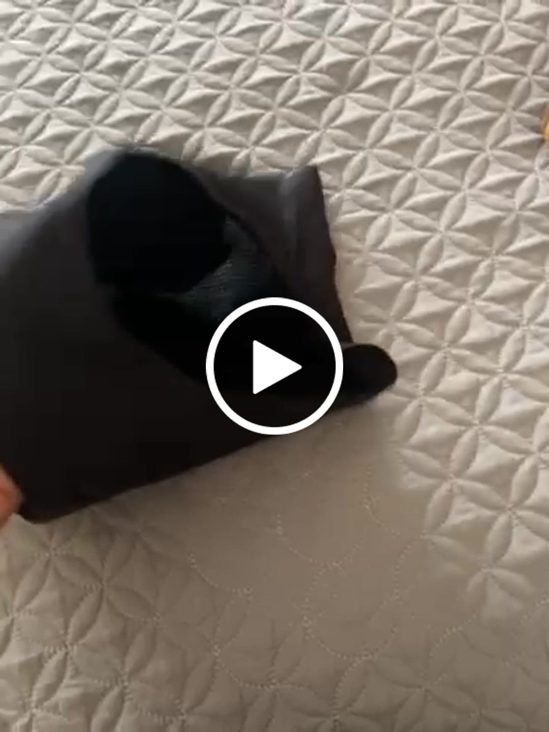 Customer video review of Valeria - Abundante
