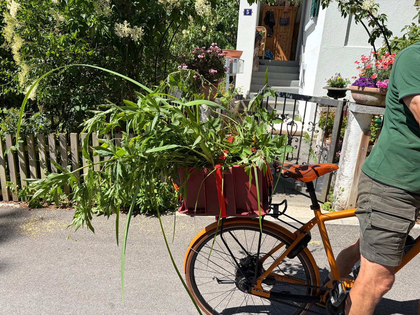 Customer photo review of Velokorb PACKI