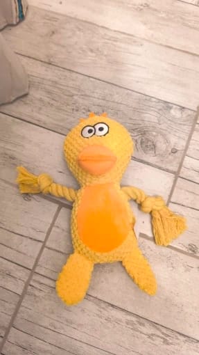 Customer photo review of Paw-Friends™-Plushies – Designed for Furry Friends Who Destroy Everything