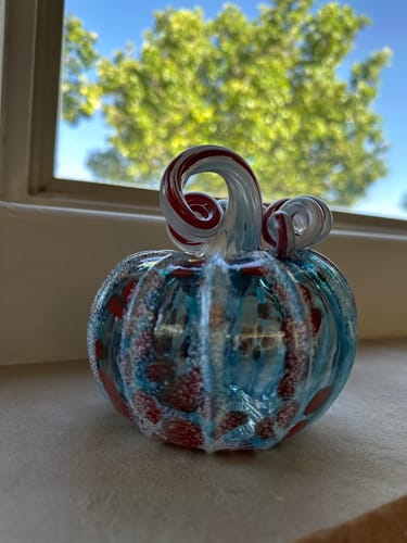 Customer photo review of Daily Pumpkin 3906 American Squat