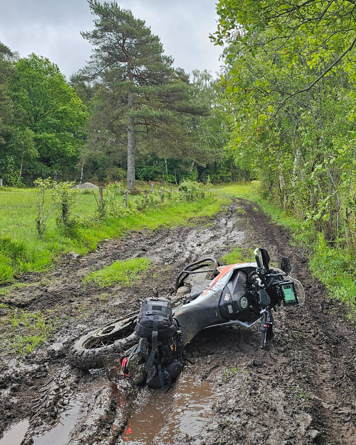 Customer photo review of Ranger Wilds - Enduro 24 set (with base)