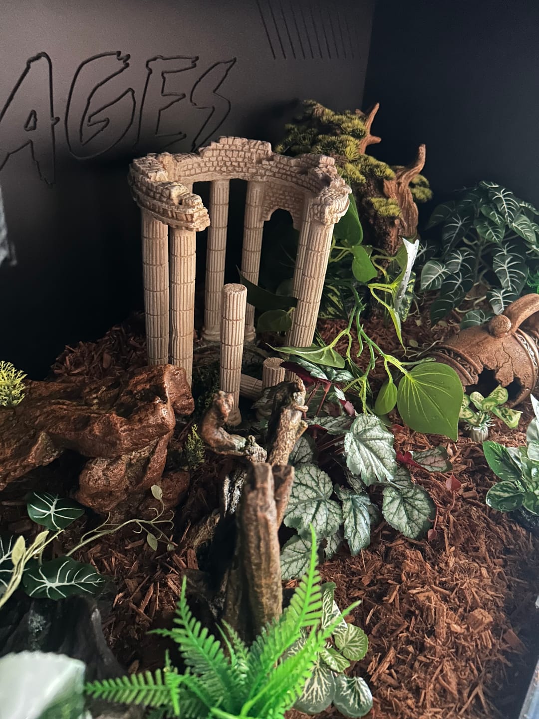 Customer photo review of 48"x24"x24" / 4'x2'x2' Premium PVC Reptile Enclosure